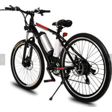 20" 7s 250W E-Bike Electric Folding Adult Bicycle 2020